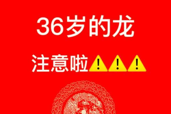 64年属龙今年运势_64年属龙人2024甲辰龙年运势详解全年每月运程全解析