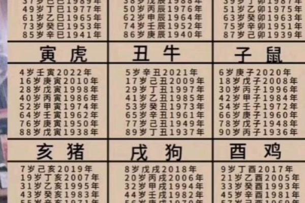 属蛇的2025年多少岁_2025年属蛇人年龄对照表及每月运程全解析 属蛇的2025年多少岁_2025年属蛇人年龄对照表及每月运程全解析