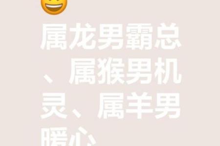 一拥而上指什么生肖(一拥而上是什么生肖)