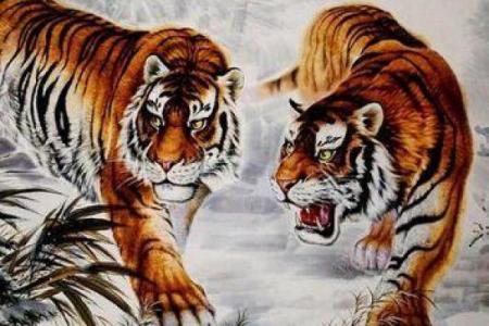 猛虎下山是什么生肖(猛虎下山打一肖)