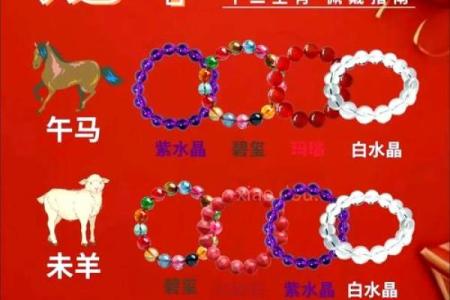 金秋十月揭秘属龙人最佳婚配属相指南