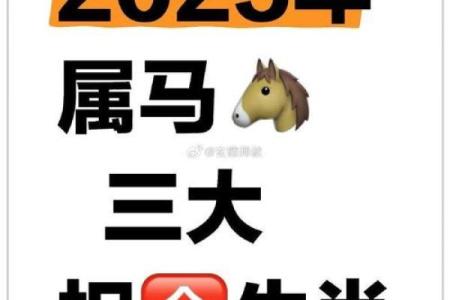 属马的2025今年多大了啊_2025年属马人的命运