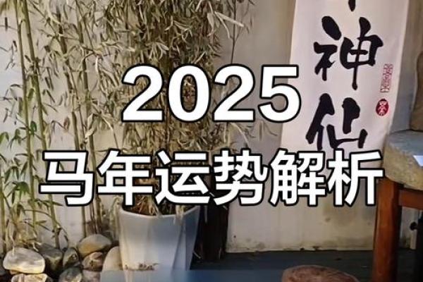 2025属马每月运势_生肖马运势2025年运程详解 2025属马每月运势_生肖马运势2025年运程详解