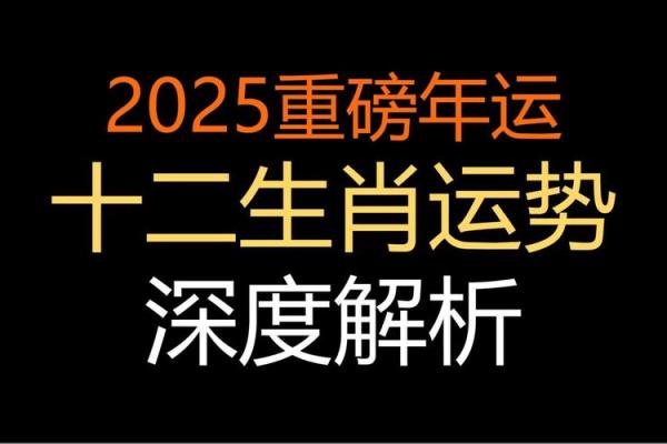 1990年属马人2025蛇年运势详解全年运程吉凶预测 1990年属马人2025蛇年运势详解全年运程吉凶预测
