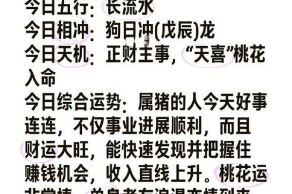 2025年属猪的运程 2025年属猪运程详解财运事业感情全解析