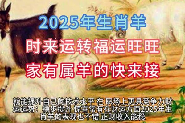 2025年属羊人年龄详解你今年多大 2025年属羊人年龄详解你今年多大