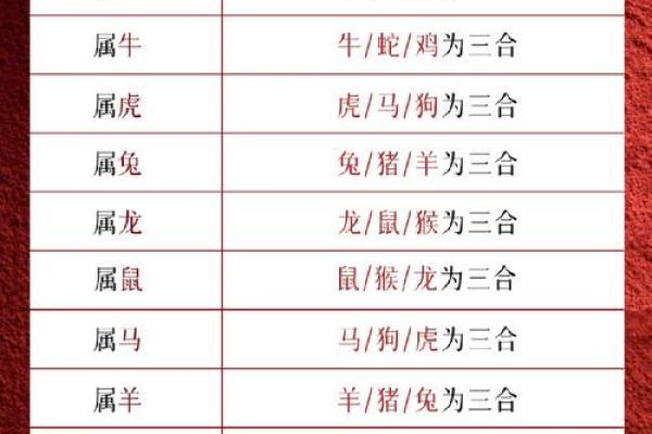 2025年的蛇是属于什么命_2025乙巳蛇年命理揭晓生肖蛇五行属什么 2025年的蛇是属于什么命_2025乙巳蛇年命理揭晓生肖蛇五行属什么