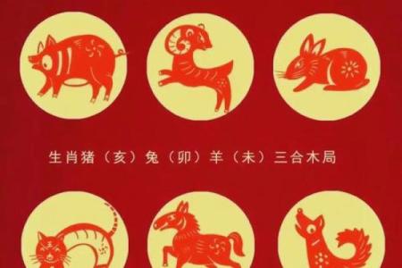 12岁属龙者出生年份解析农历月份对应年份查询