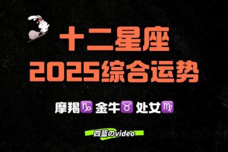2025年12星座运势完整版_2031年星座运势