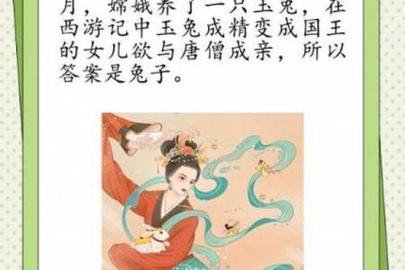 西游记第十九回是什么生肖(西游记第十九回的动物打一肖)