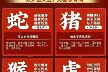 膀大腰圆是什么生肖(膀大腰圆是什么生肖准确)