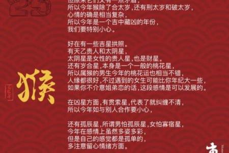 2025蛇年运势及运程 2025蛇年运势全解析全年运程逐月详解