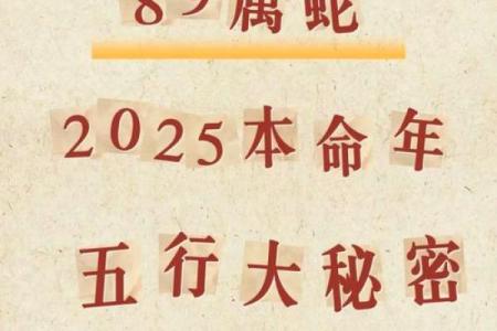 53年属蛇2025年运势_2025蛇年运势全解析53年属蛇人逐月运程与转折点
