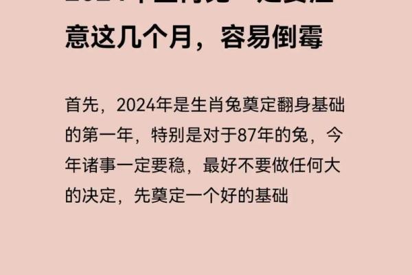 2025年属兔人年龄揭秘今年你多大了 2025年属兔人年龄揭秘今年你多大了