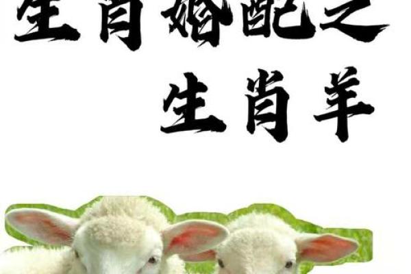 属羊人与什么属相合作最好_生肖羊3合6合3冲6害 属羊人与什么属相合作最好_生肖羊3合6合3冲6害