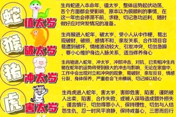 2003属羊五行属什么_79年属羊什么命金木水火 2003属羊五行属什么_79年属羊什么命金木水火