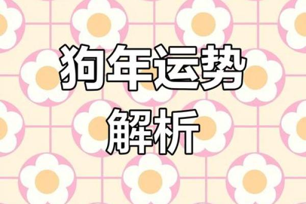 属狗2025年的运势及运程1970年_属狗的2025年运势如何