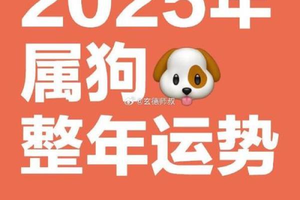 属狗2025年的运势及运程1970年_属狗的2025年运势如何
