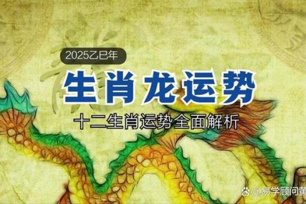 属龙人2025年全年运势详解_属龙人2025全年运势逐月详解运程走势完整解析
