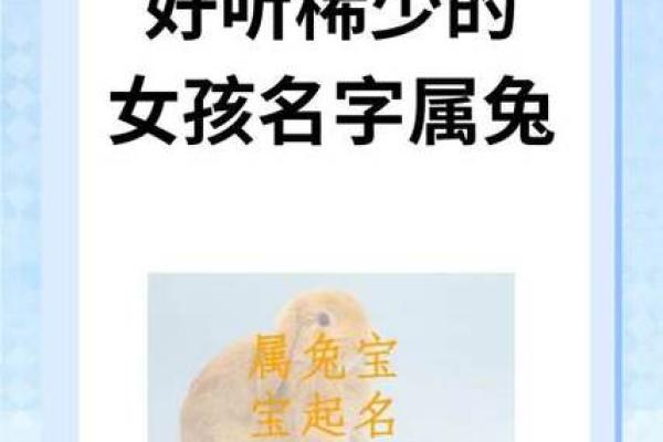 女孩属龙男孩属兔婚配好吗_属龙女孩与属兔男孩婚配缘分天定还是性格相克 女孩属龙男孩属兔婚配好吗_属龙女孩与属兔男孩婚配缘分天定还是性格相克