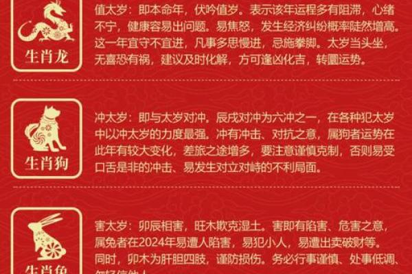 1982年属狗2026年运势详解运程预测与注意事项 1982年属狗2026年运势详解运程预测与注意事项