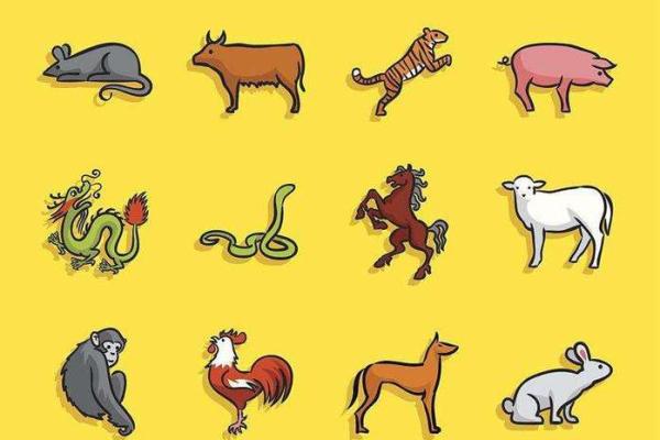 粗枝大叶打一生肖