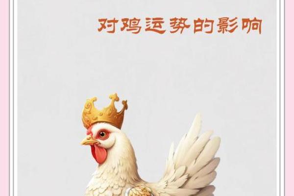 生肖鸡2025年运势_2025年生肖鸡运势详解财运事业爱情全面解析 生肖鸡2025年运势_2025年生肖鸡运势详解财运事业爱情全面解析