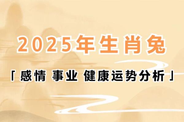 2025属兔用什么颜色最旺_2025属兔最旺颜色指南提升运势的幸运色 2025属兔用什么颜色最旺_2025属兔最旺颜色指南提升运势的幸运色