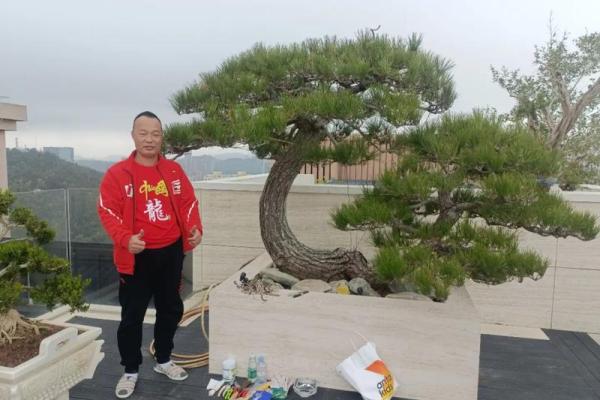 属龙人2024全年运势详解_2024属龙人全年运势解析逐月运程吉凶及转运指南