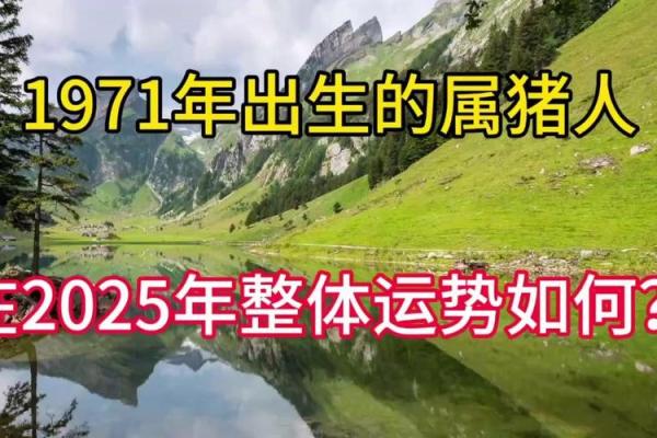 属猪人2025年全年运势及运程_2025年属猪人全年运势详解运程大揭秘