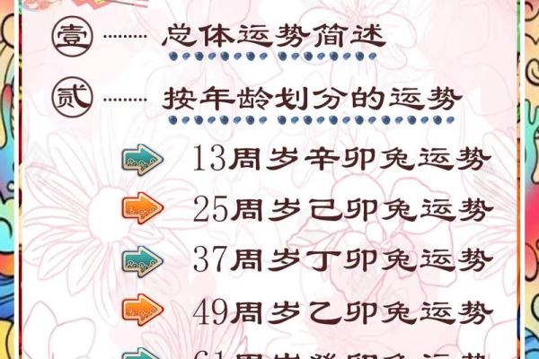 2025年属兔人年龄揭秘你今年几岁 2025年属兔人年龄揭秘你今年几岁