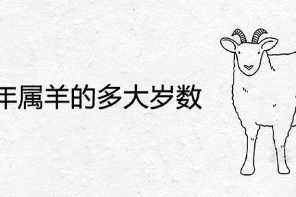 今年属羊多大_2023年属羊人年龄对照表今年属羊多大