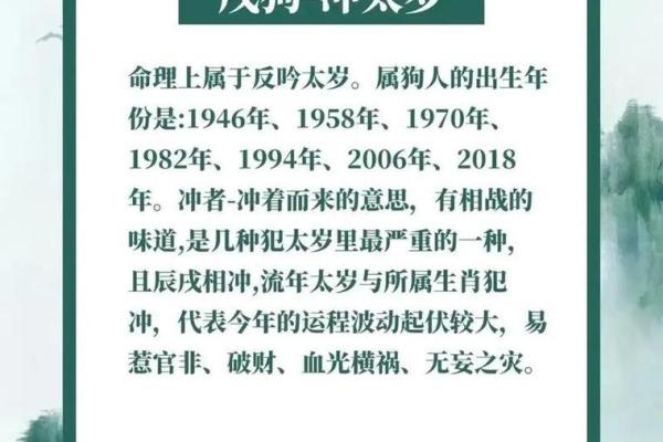 1982年属狗女人2025年运势详解运程预测与建议 1982年属狗女人2025年运势详解运程预测与建议