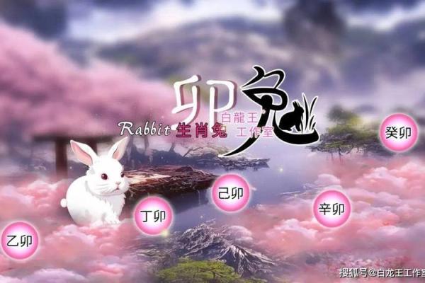 1987属兔2025年运势及运程_1987年属兔的人2023年运势怎么样 1987属兔2025年运势及运程_1987年属兔的人2023年运势怎么样