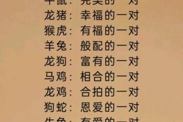 1987属兔的婚姻和命运 1987属兔婚姻命运解析幸福与挑战并存 1987属兔的婚姻和命运 1987属兔婚姻命运解析幸福与挑战并存