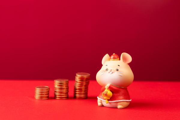 2025年属猪的运势及运程 属猪运势2025年运势详解1983出生