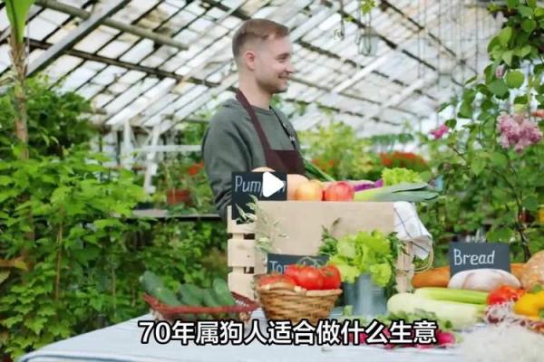1970年属狗人寿命表揭秘健康与长寿的关键 1970年属狗人寿命表揭秘健康与长寿的关键