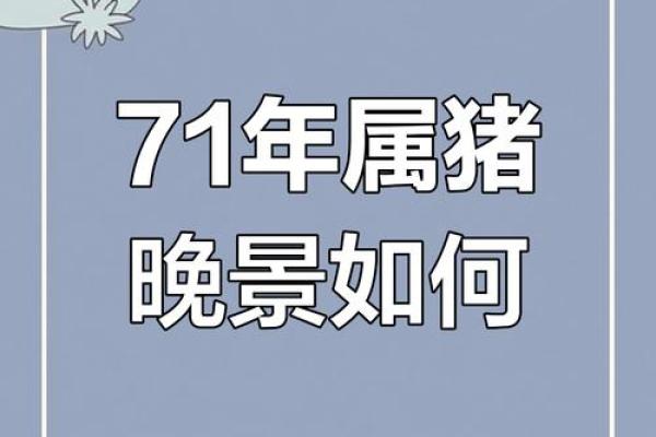 属猪人2025年全年运势详解_1971年属猪男2025年全年运势