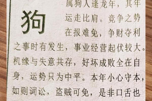 2026属狗人的全年运势_2025年属狗人全年运势及运程 2026属狗人的全年运势_2025年属狗人全年运势及运程