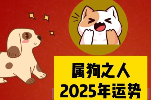 2026属狗人的全年运势_2025年属狗人全年运势及运程 2026属狗人的全年运势_2025年属狗人全年运势及运程