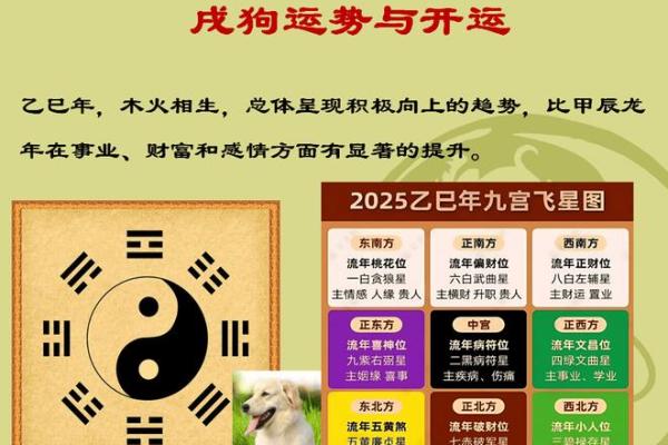 2025属狗人运势 2025年属狗人运势详解财运事业感情全面解析 2025属狗人运势 2025年属狗人运势详解财运事业感情全面解析