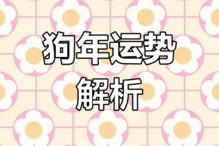 属狗2025年的运势及运程1970年_属狗的2025年运势如何
