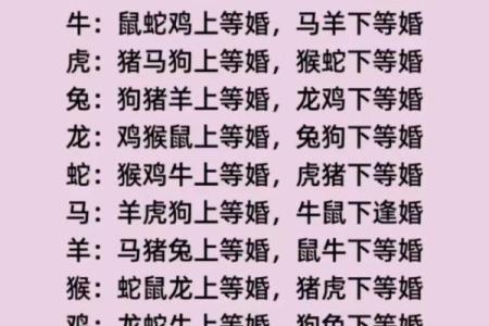 男属狗女属马适合做夫妻吗_男属狗女属马在一起合适么