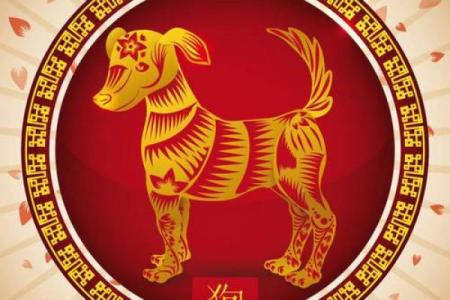 1982年属狗2026年运势详解运程预测与注意事项