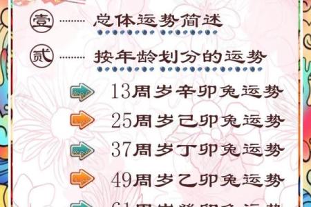 2025年属兔人年龄揭秘你今年几岁