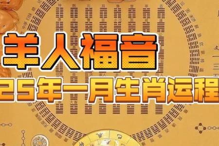 属羊的2025年运势怎么样_2025年对属羊人运势如何