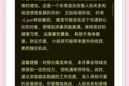2025年属龙人全年运势详解逐月运程全解析