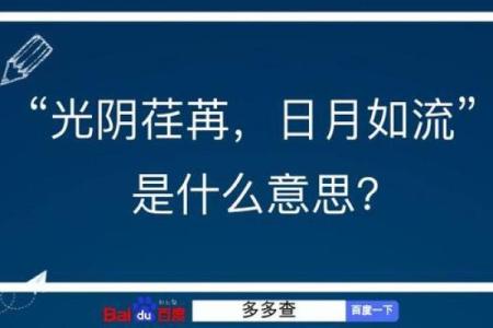 光阴荏苒打一生肖(光阴荏苒的意思是什么生肖)
