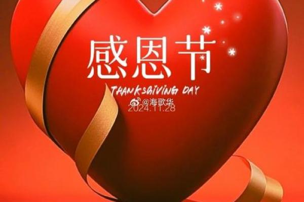 2017年感恩节