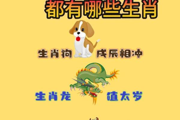 属狗今年犯太岁吗2025 属狗今年是否犯太岁 属狗今年犯太岁吗2025 属狗今年是否犯太岁